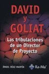 David y Goliat. Las tribulaciones de un director de proyecto