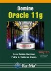 Domine Oracle 11g